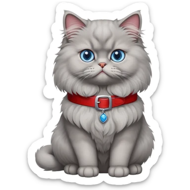 gray Persian cat full body sitting with blue eyes and red belt sticker