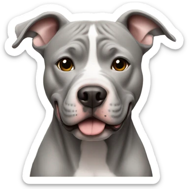 grey pitbull  sticker
