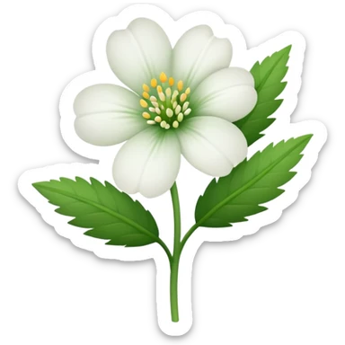 veronica flower white sticker