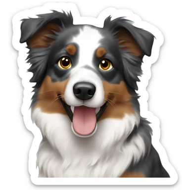 Mini Australian shepherd  sticker