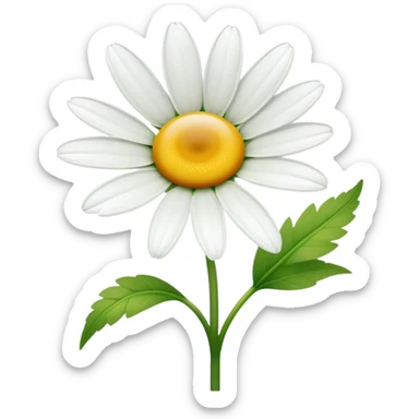 Cinematic Realistic Daisy Emoji, Cheerful and pure, with bright white petals surrounding a sunny yellow center, standing proudly atop a slender green stem. The soft, vibrant petals seem to radiate positivity, while a few green leaves frame the delicate flower. Soft glowing outline, capturing the essence of simplicity, innocence, and happiness in a single daisy. sticker