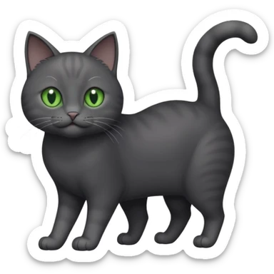 full body gorgeous solid dark grey cat with green eyes, white paws and white whiskers playing sticker