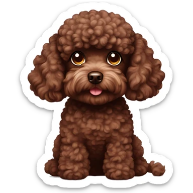 Chocolate brown toy poodle dog sticker