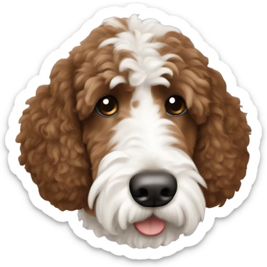 brown and white bernadoodle sticker