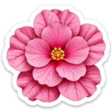 super realistic pink begonia sticker