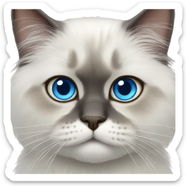 Persian cat blue eyes  sticker