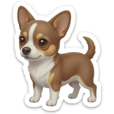 Chihuahua marron et blanc au ventre sticker