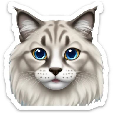 lynx ragdoll sticker