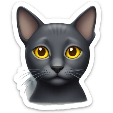 Solid dark grey cat with yellow eyes and a messed up ear sticker