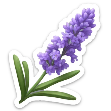 lavander sticker