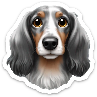 long-haired black and merle dachshund sticker