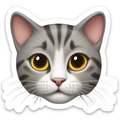 Cat wearing Ohio state shirt  sticker