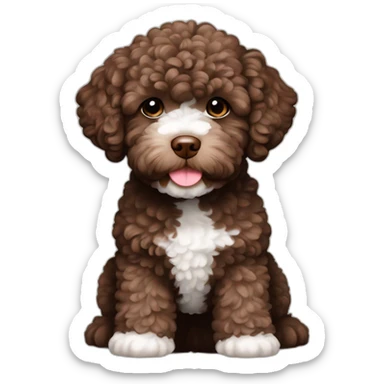 Chocolate brown Lagotto romagnolo sticker