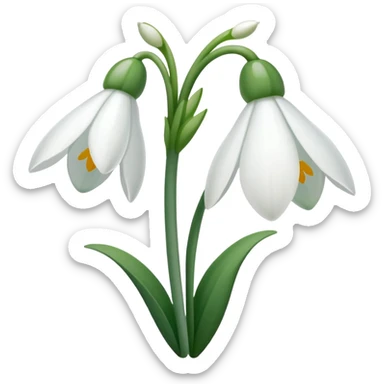 snowdrop flower sticker