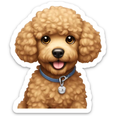 Miniature golden poodle that looks like a teddy bear sticker