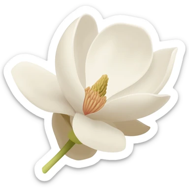 minimalist-magnolia-flower-with-soft-white-and-light-beige-petals-on-a-plain-white-background,-no-extra-details sticker