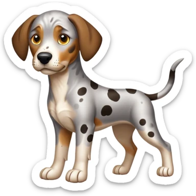 Catahoula hound sticker