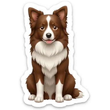 Brown Border Collie sitting sticker