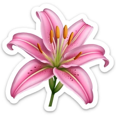 Pink lily flower sticker