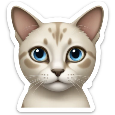 Thai breed cat with a light cream-brown body, dark gray nose and face, ears, and paws. sharp ears, and striking light blue eyes  sticker