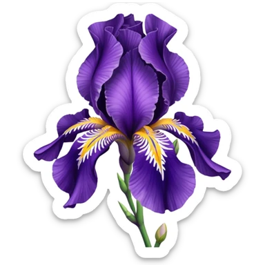 Iris  flower sticker