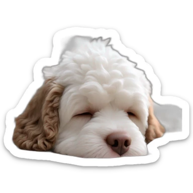 A Lagotto Romagnolo starting to sleep, zzz sticker