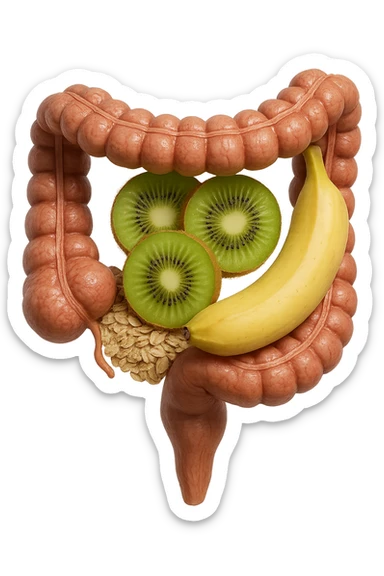 avena, kiwi e banana all'interno di un colon umano anatomico realistico, iperrealistico 4k sticker
