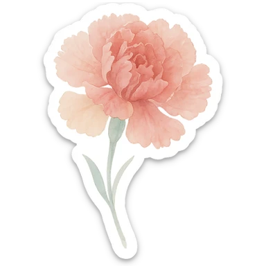 close-up of a detailed carnation, soft color transitions, intricate petal textures, expressive form sticker