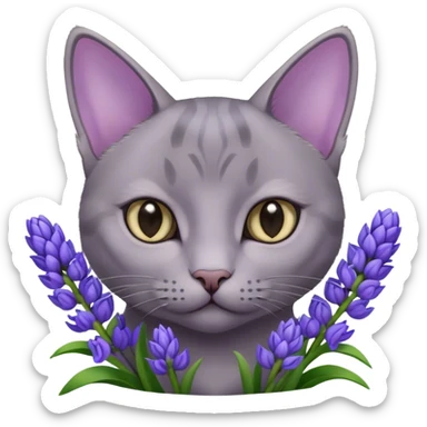 Grey Kitty and purple hyacinths  sticker