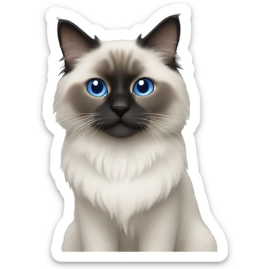 Blue point ragdoll sticker