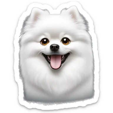 Most pure White small pomeranian with dark black eye, smile sticker