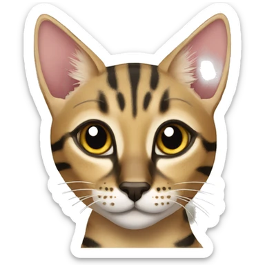 Lps savannah cat sticker