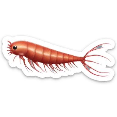 krill jumbo sticker