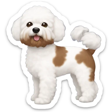 2 bichon frises and 1 brown cavapoochon with white patch on its chest sticker
