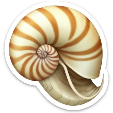 nautilus animal sticker