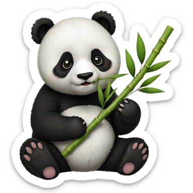 Panda eating bamboo  sticker