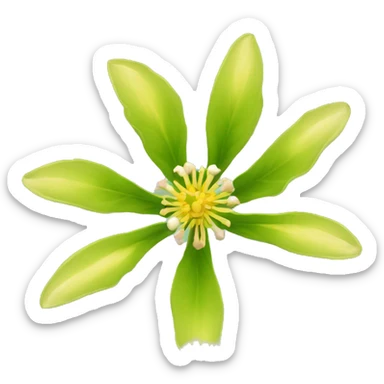 Ashwagandha flower with greenish-yellow petals and a central yellow stamens emojis sticker