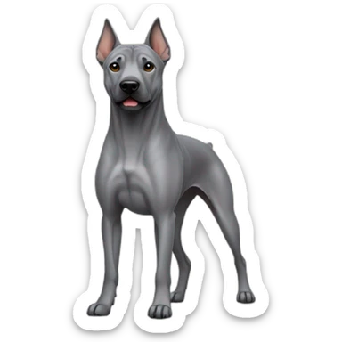 Dog gray Thai Ridgeback Full-height sticker