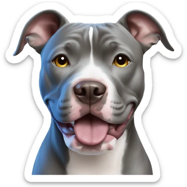 Blue nose pitbull sticker