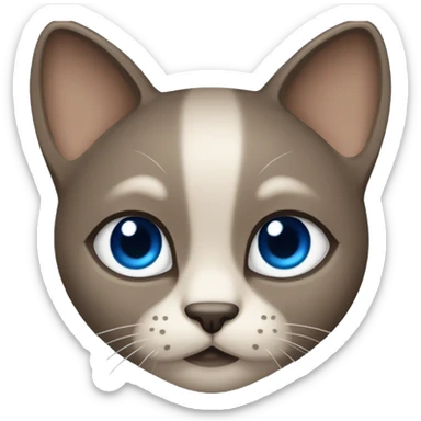 Dark Brown face - beige body and ears female siamise cat with blue eyes  sticker