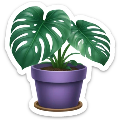 all violet monstera plant in pot sticker