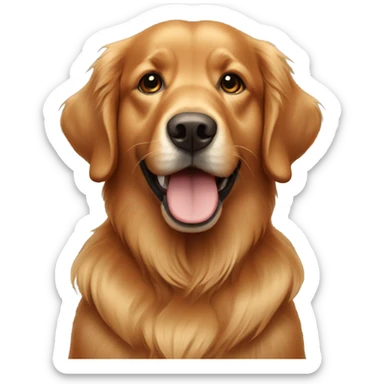 Dark red golden retriever  sticker