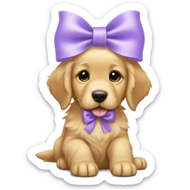 female golden retriever puppy with lavender bow sticker