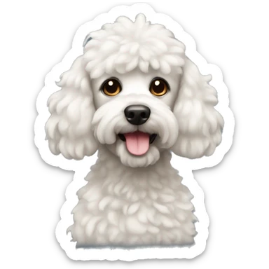 Caniche sticker