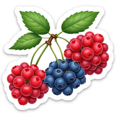 wild berries sticker