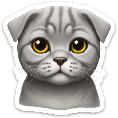 Gray Scottish fold sticker