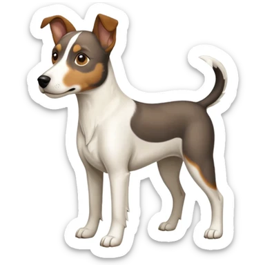 a full body large white floppy eared parson russell looking dog the size of a kelpie with light brown ears and a light brown patch on one eye and a large snout sticker