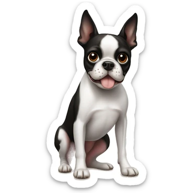 Boston terrier sticker