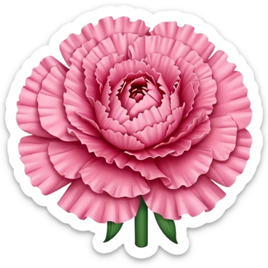 Carnation sticker