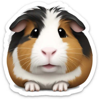 Guinea pig with black white and tan fur sticker